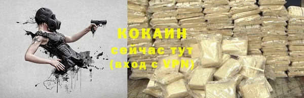 стафф Богородск