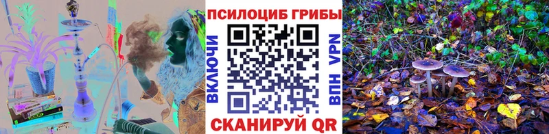 Псилоцибиновые грибы Magic Shrooms  Данков 